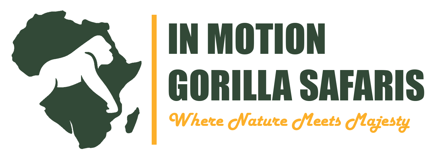In motion Gorilla Safaris 