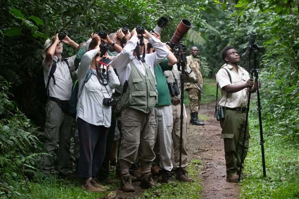 13 Days Uganda Bird Watching Adventure