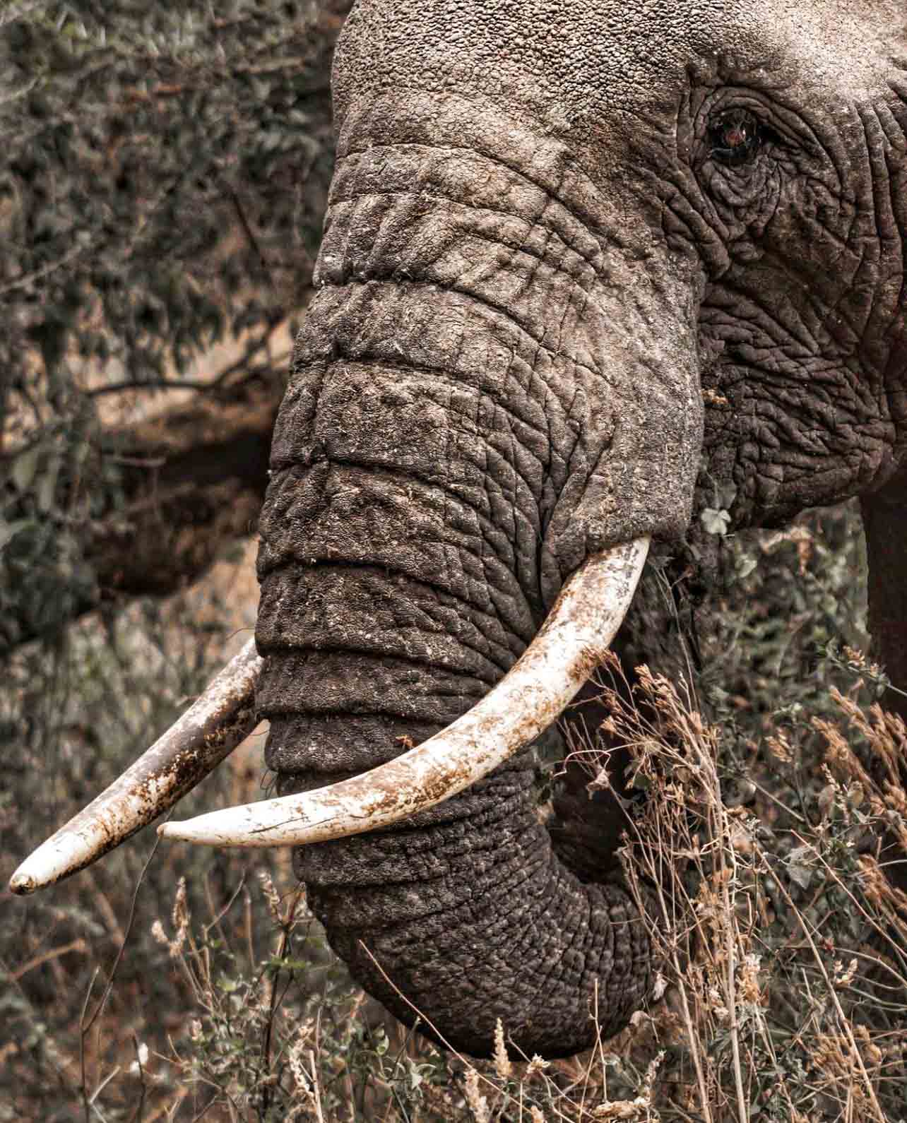 Kenya Destination