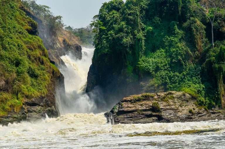 8 days Uganda Wildlife Adventure safari.