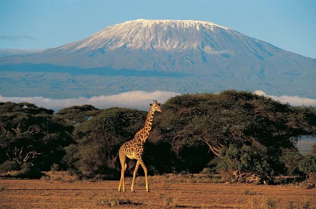 12 Days Mount Kilimanjaro Climb & Tanzania Wildlife Safari