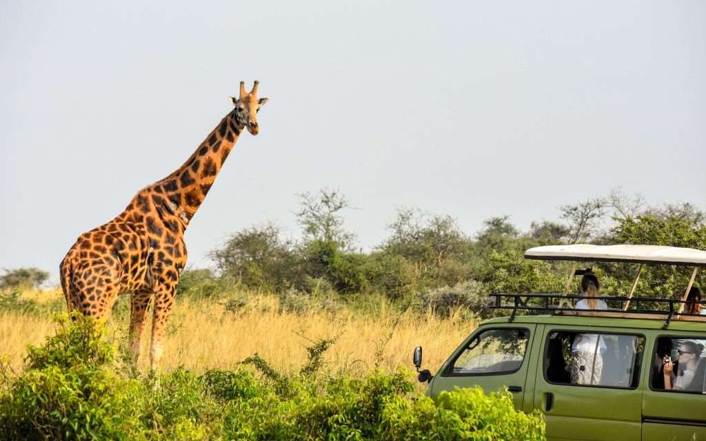 10 days Uganda Rwanda safari vacation