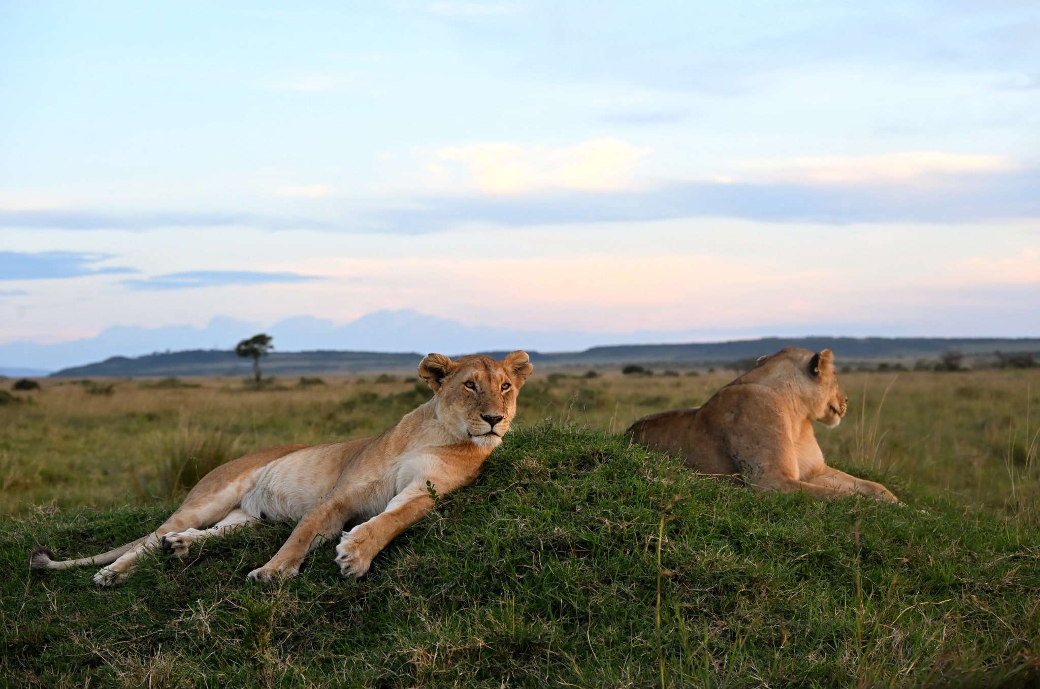 Tarangire National Game Park