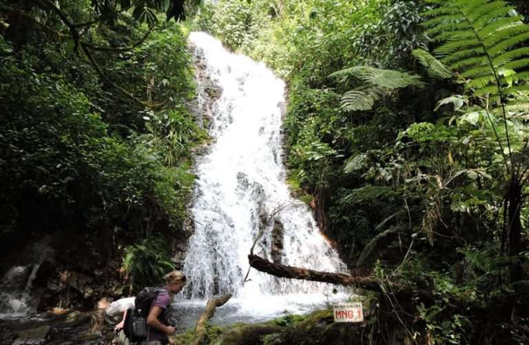 3 days Uganda Gorilla Trekking Safari (Bwindi)
