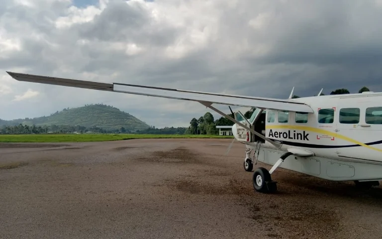 13 Days Uganda Fly-In Safari & Primate Trekking