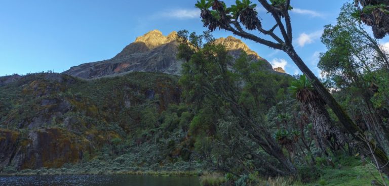 4 Days Mountain Rwenzori Hiking safari.