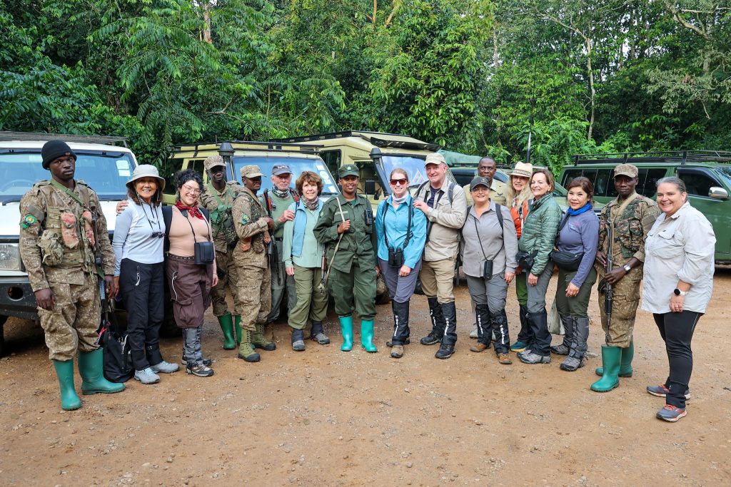 Chimpanzee, Kibale National Park, Uganda
