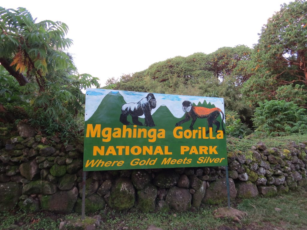 Mgahinga Gorilla National Park