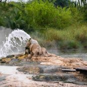 Female Hot Springs of Semuliki National Park