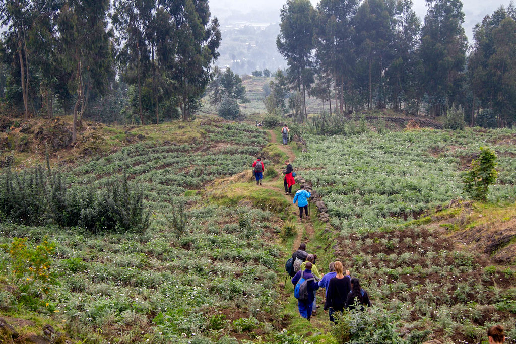 Hiking Mountain Bisoke Rwanda