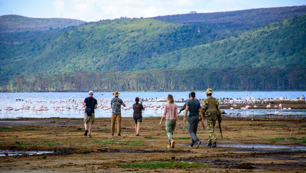 7 Days Rwanda chimps and lowland gorillas