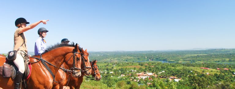 19 Days All of Uganda Safari
