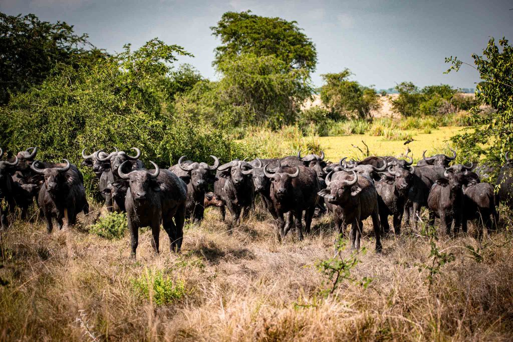 Exploring East Africa Through Your Lens in 2026