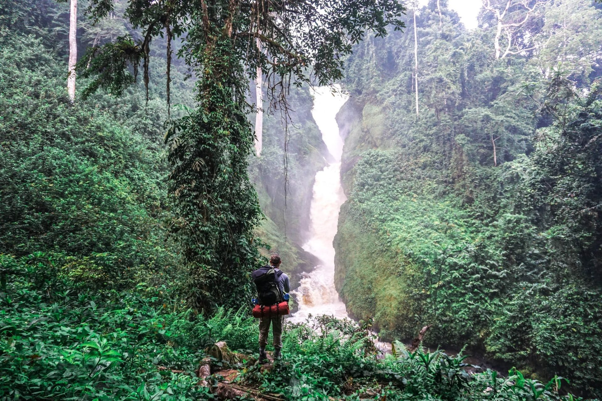 6 Days Rwanda Primates Safari