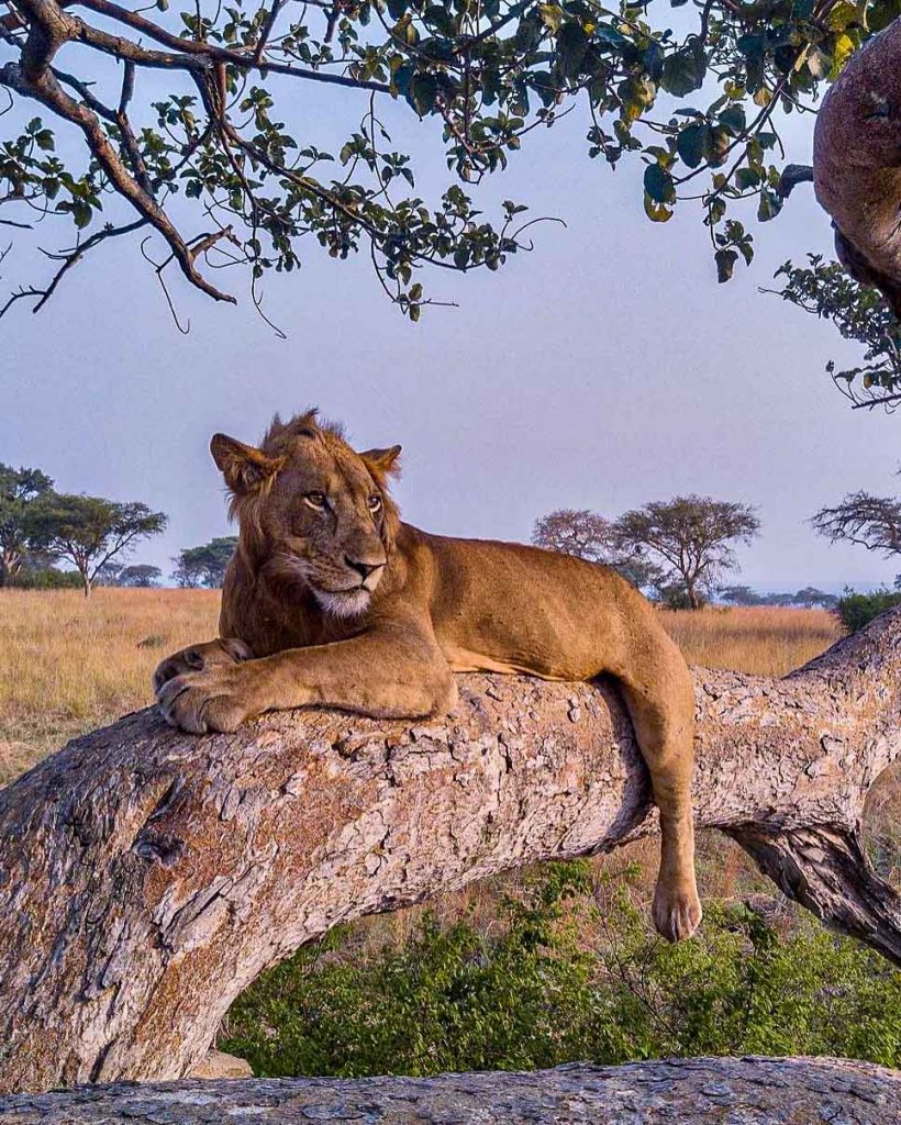 Queen Elizabeth National Park