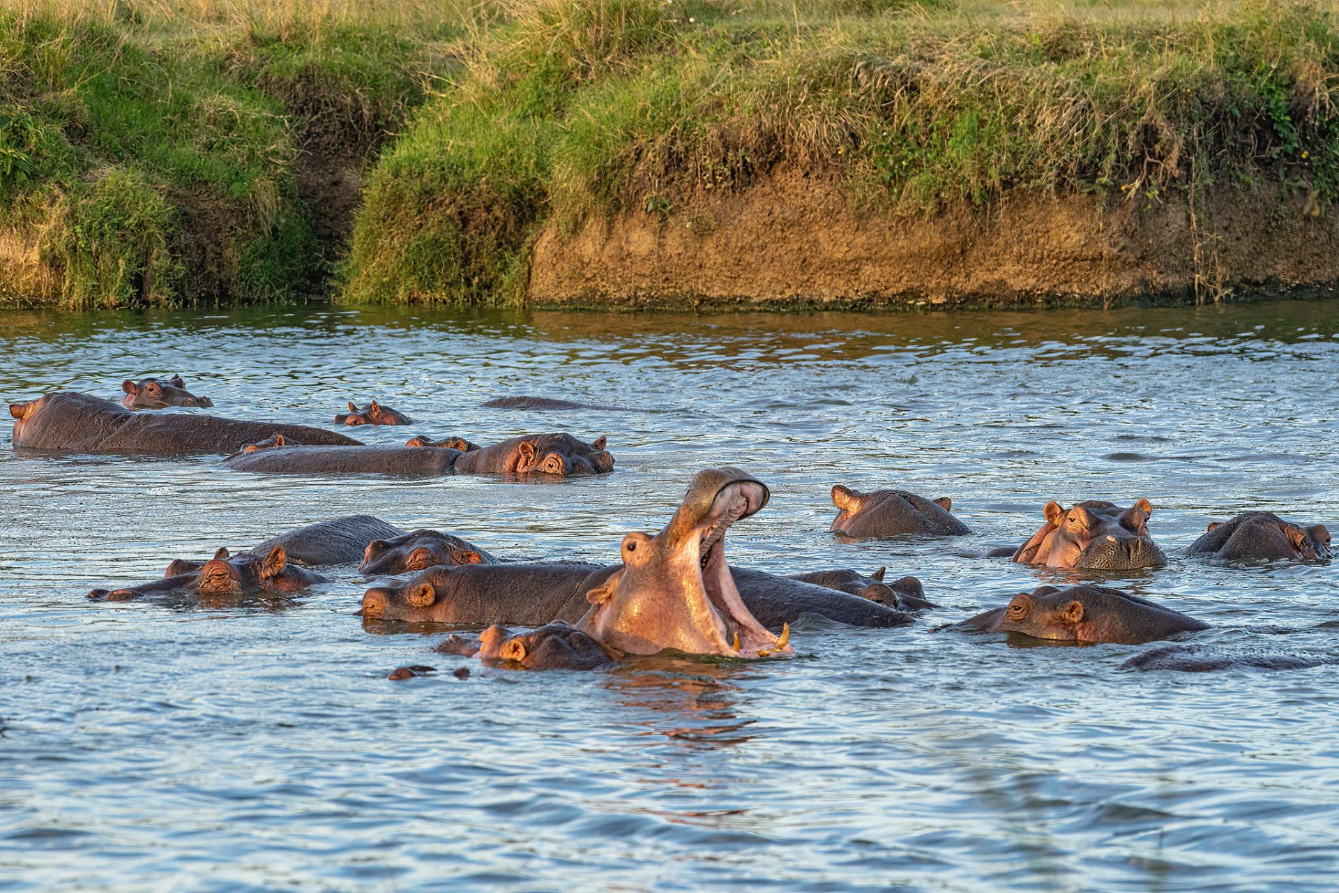 Masai Mara National Reserve (1)