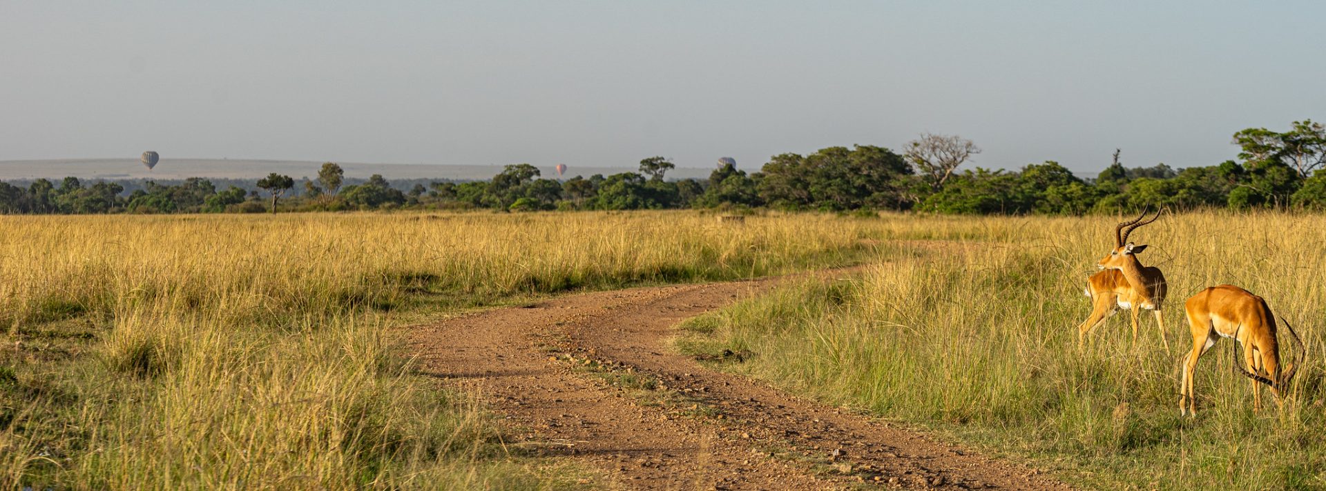 Masai Mara In Kenya