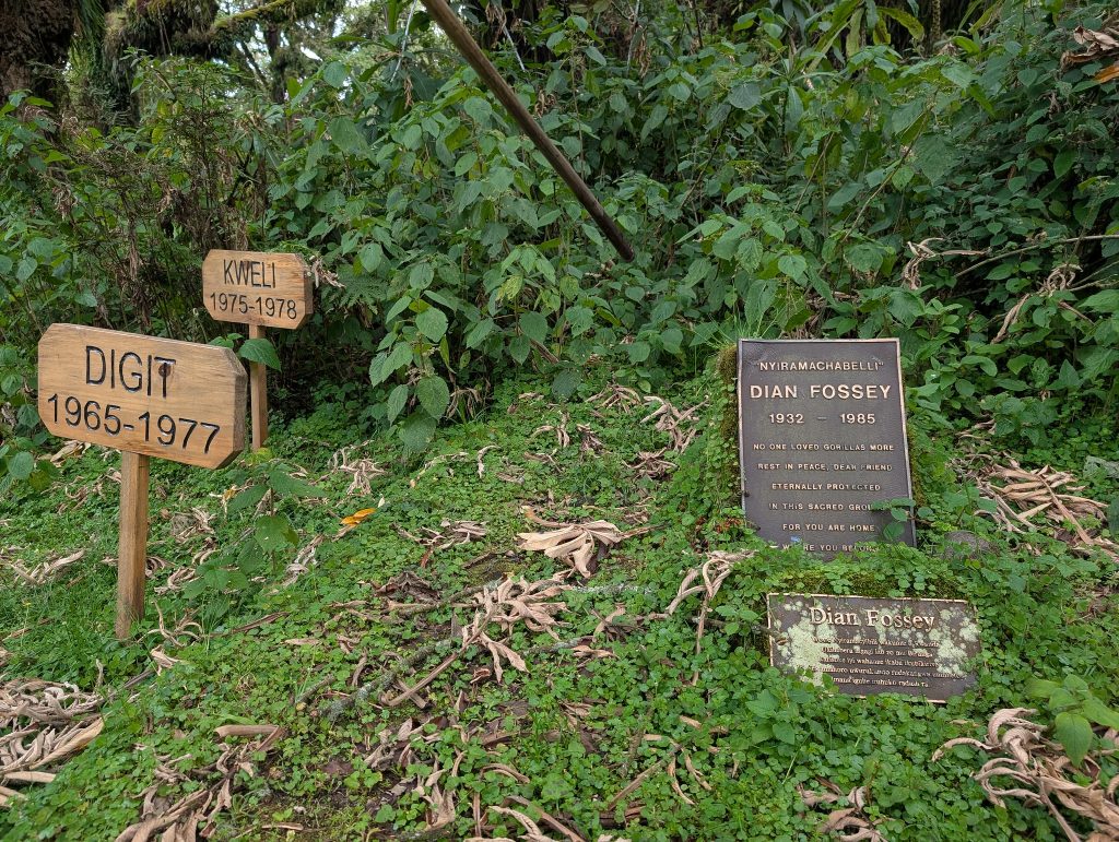 The Dian Fossey Tomb Hike Adventure
