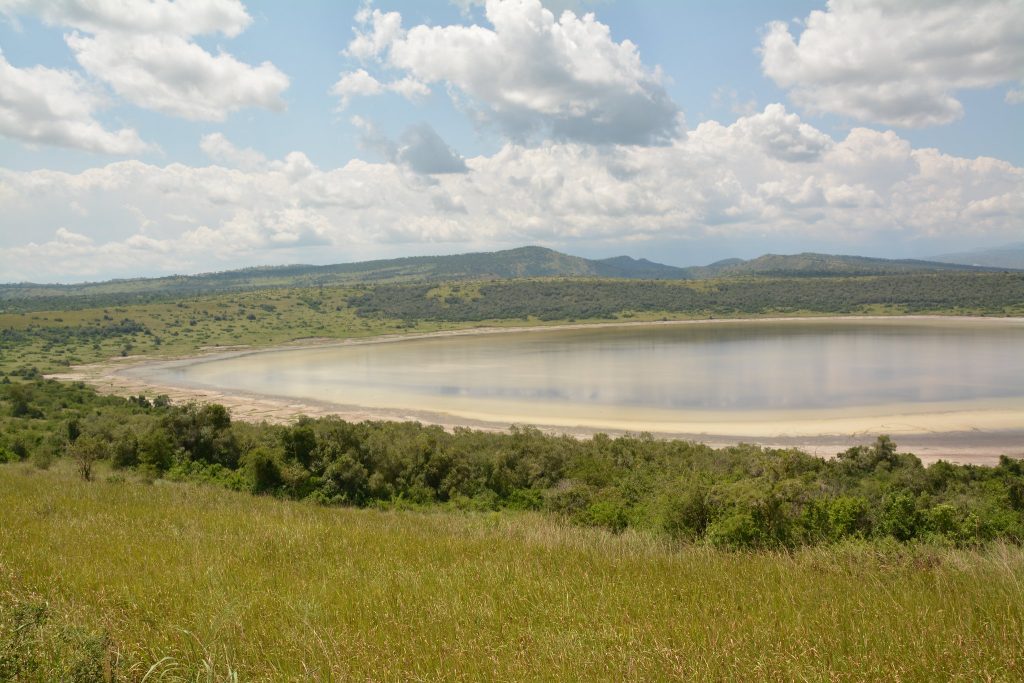 4 Days Double Gorilla Trekking Rwanda (All-Inclusive)
