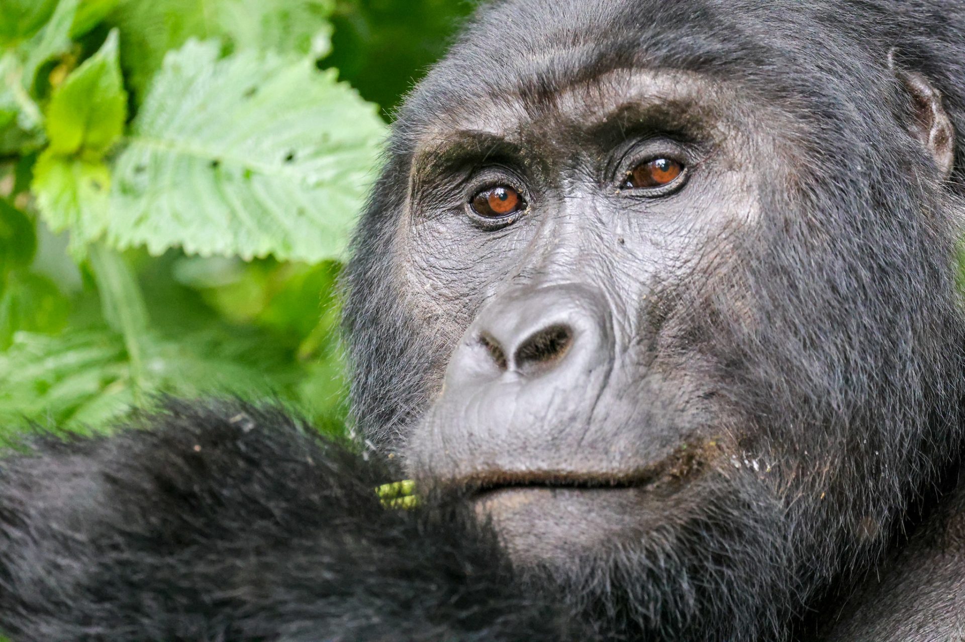 4 Days Queen Elizabeth & Lake Mburo National Park Safari