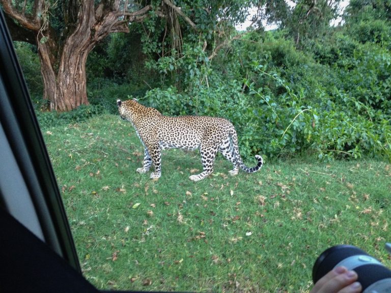 12 Days Kenya Safari (Exclusive Kenya Wildlife Tour)