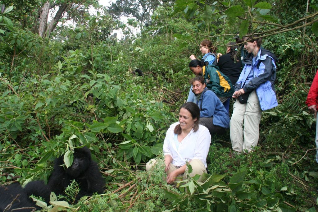 Gorilla Trekking Activity
