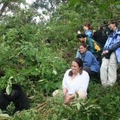 Gorilla Trekking Activity