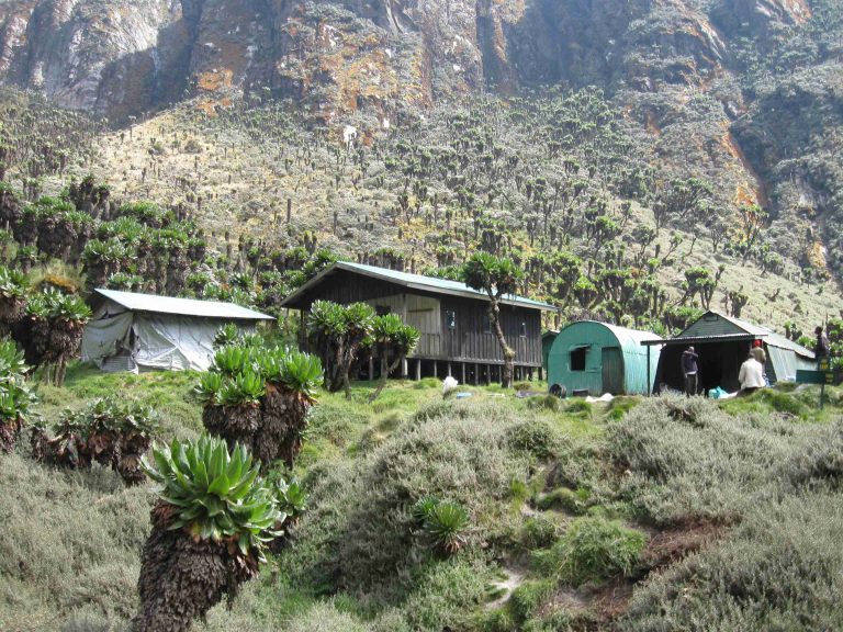 10 Days Rwenzori Central Circuit with Margherita Peak