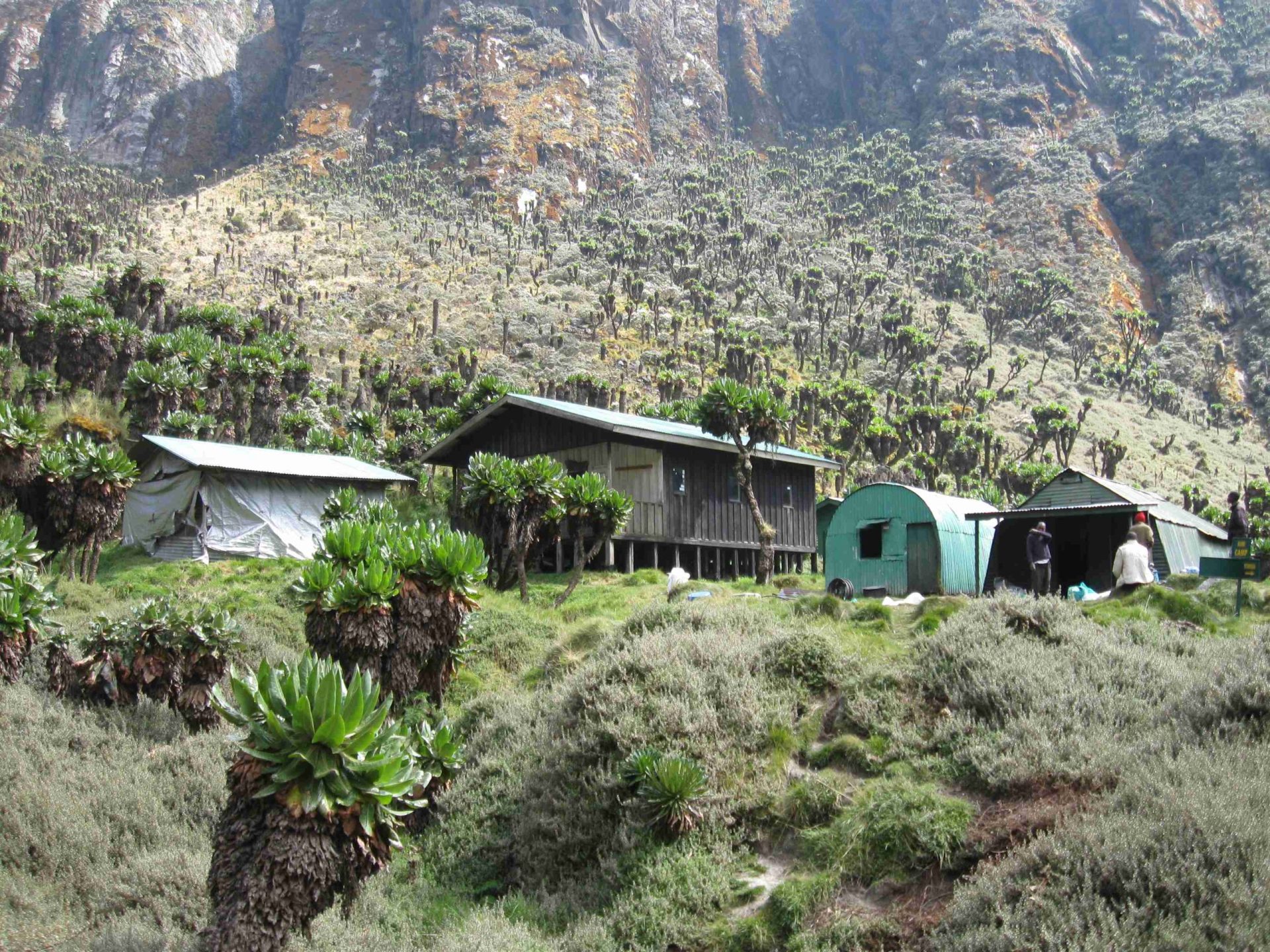 10 Days Rwenzori Central Circuit with Margherita Peak