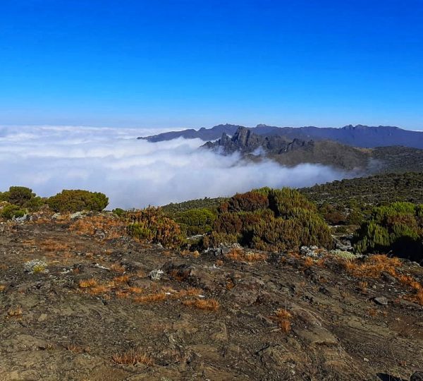 Kilimanjaro Tanzania-01