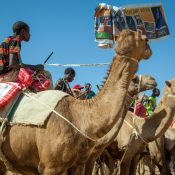 eland-maralal-national-reserve-kenya