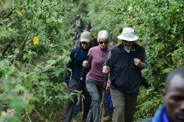 12-Day Gorillas, Chimpanzees & Big Five Safari in Uganda