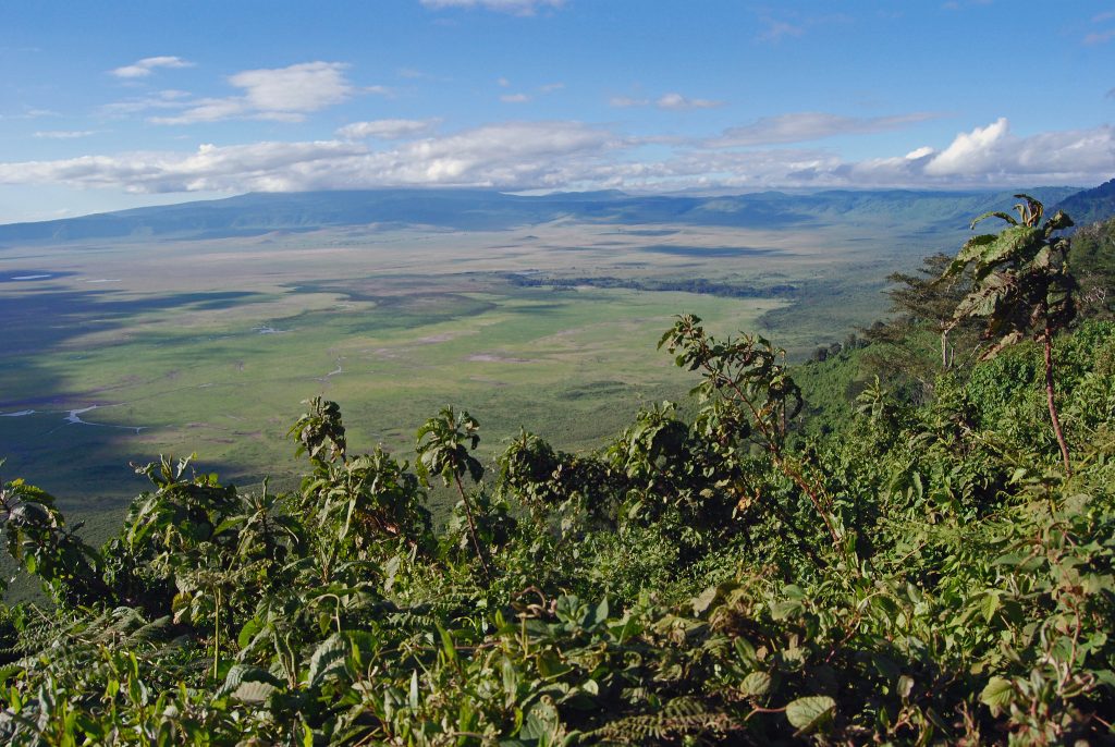 5-Day Tanzania Wildlife Safari