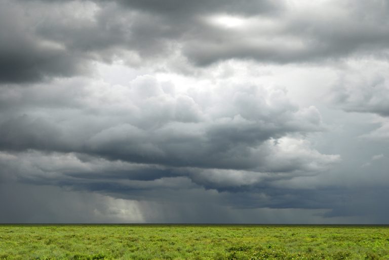 5 Days Tanzania Safari – Northern Circuit