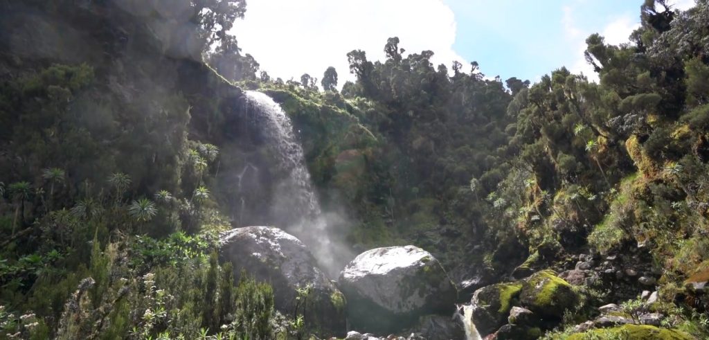 12 Days Rwenzori Margherita Peak Climb