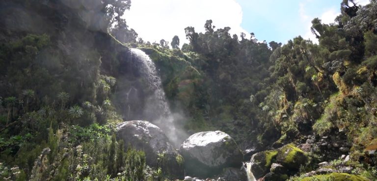 12 Days Rwenzori Margherita Peak Climb