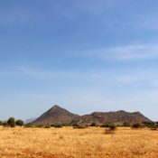 Shaba National Reserve Vegetation
