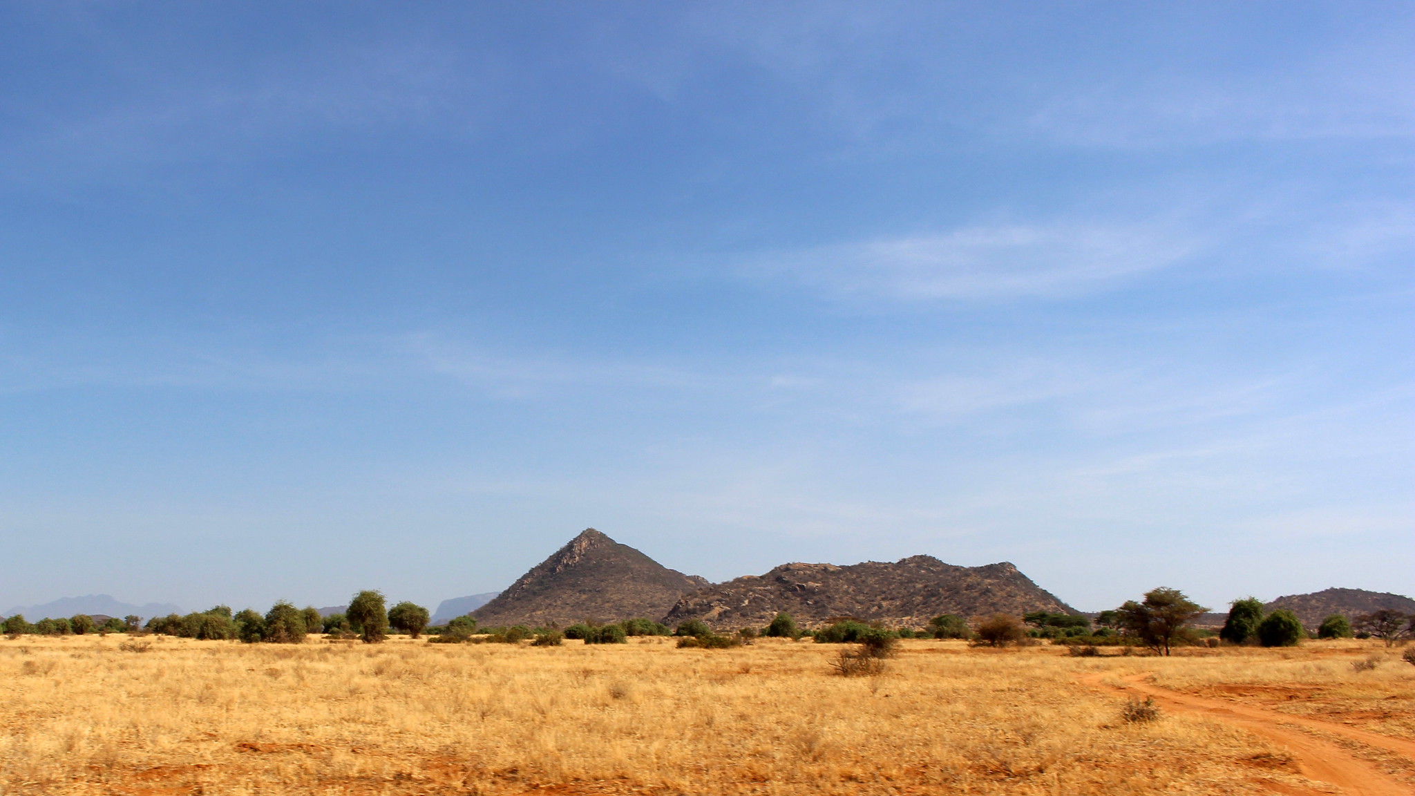 Shaba National Reserve Vegetation