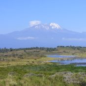 View Of Mountain Kilimanjaro From Arusha National Park