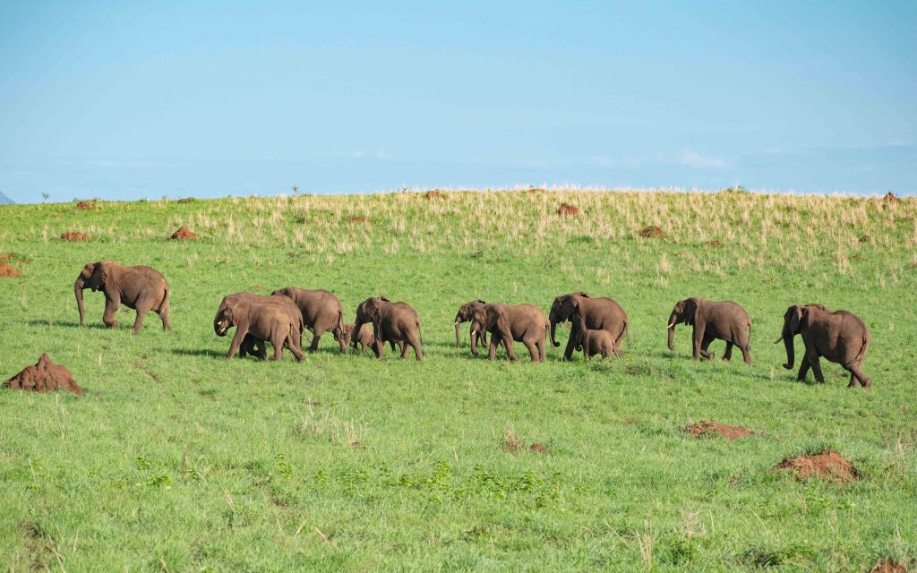 Kidepo Valley National Park in northern Uganda