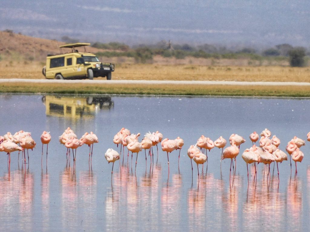 Best Time to Visit Lake Manyara National Park