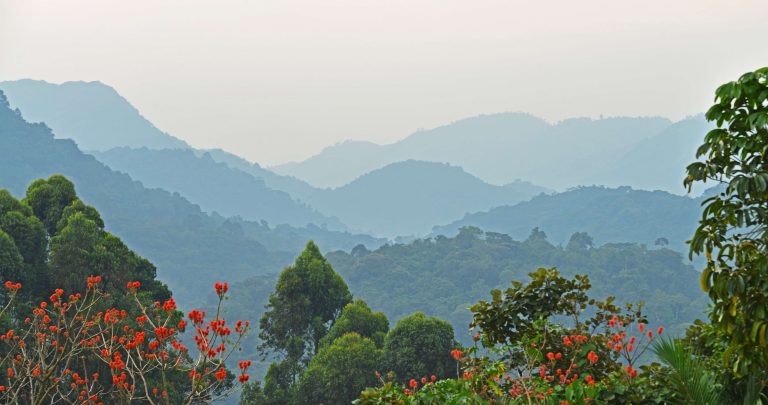 2 Day Budget Gorilla Trekking Rwanda