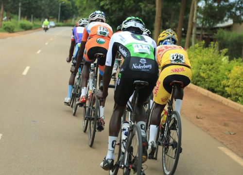 Cycling Safaris