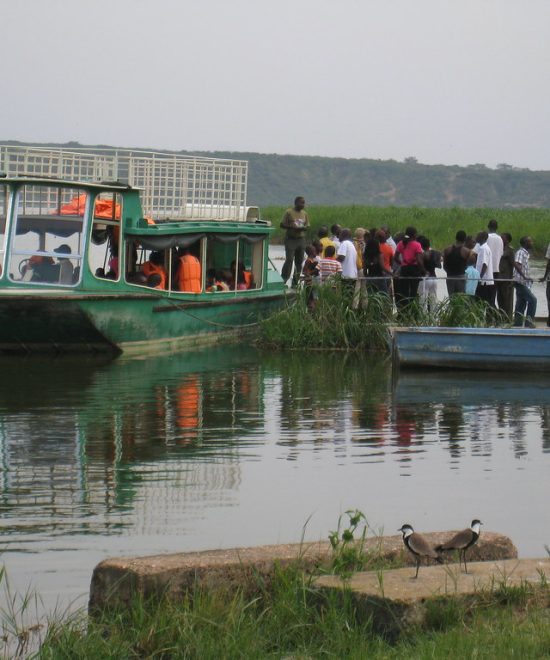 Boat Cruises