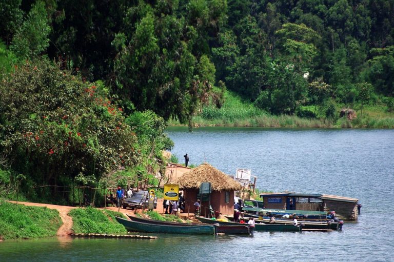 5 Days Gorillas, Golden Monkey and Lake Bunyonyi Visit
