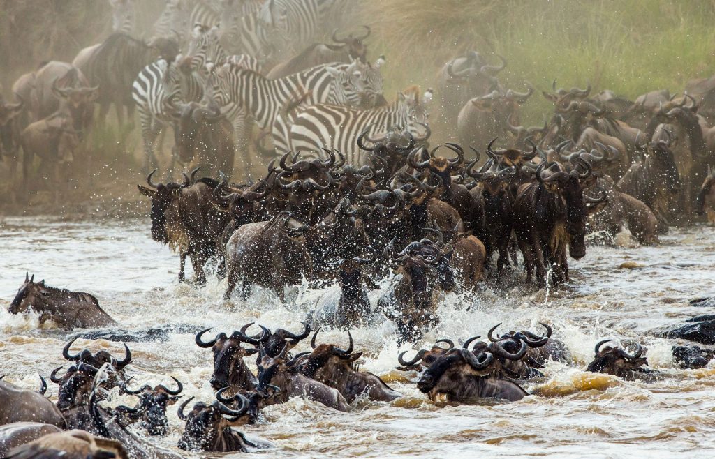 10 Days Best of Tanzania & Uganda Safari